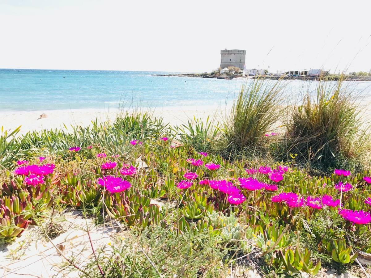 Casa Vacanze Dei Bacini Porto Cesareo Eksteriør billede